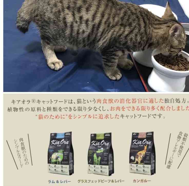 ペットの餌はずっと同じ物ですか