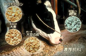 ペットの餌はずっと同じ物ですか