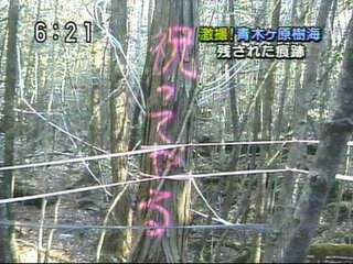 執着心を断ち切ってサッパリした性格になりたい