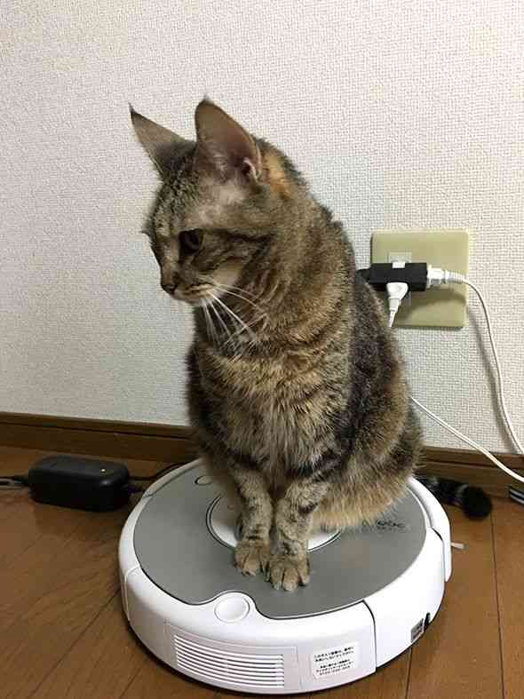 喧嘩腰で雑談するトピ　其ノ拾（祝‼︎）