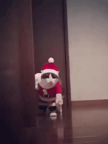 クリスマスプレゼントまだ貰えるの諦めてない人！🎁