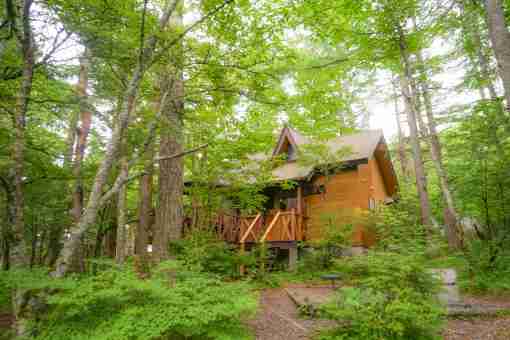 正午のサイレンに「騒音だ」と苦情、市が中止決定 埼玉・熊谷