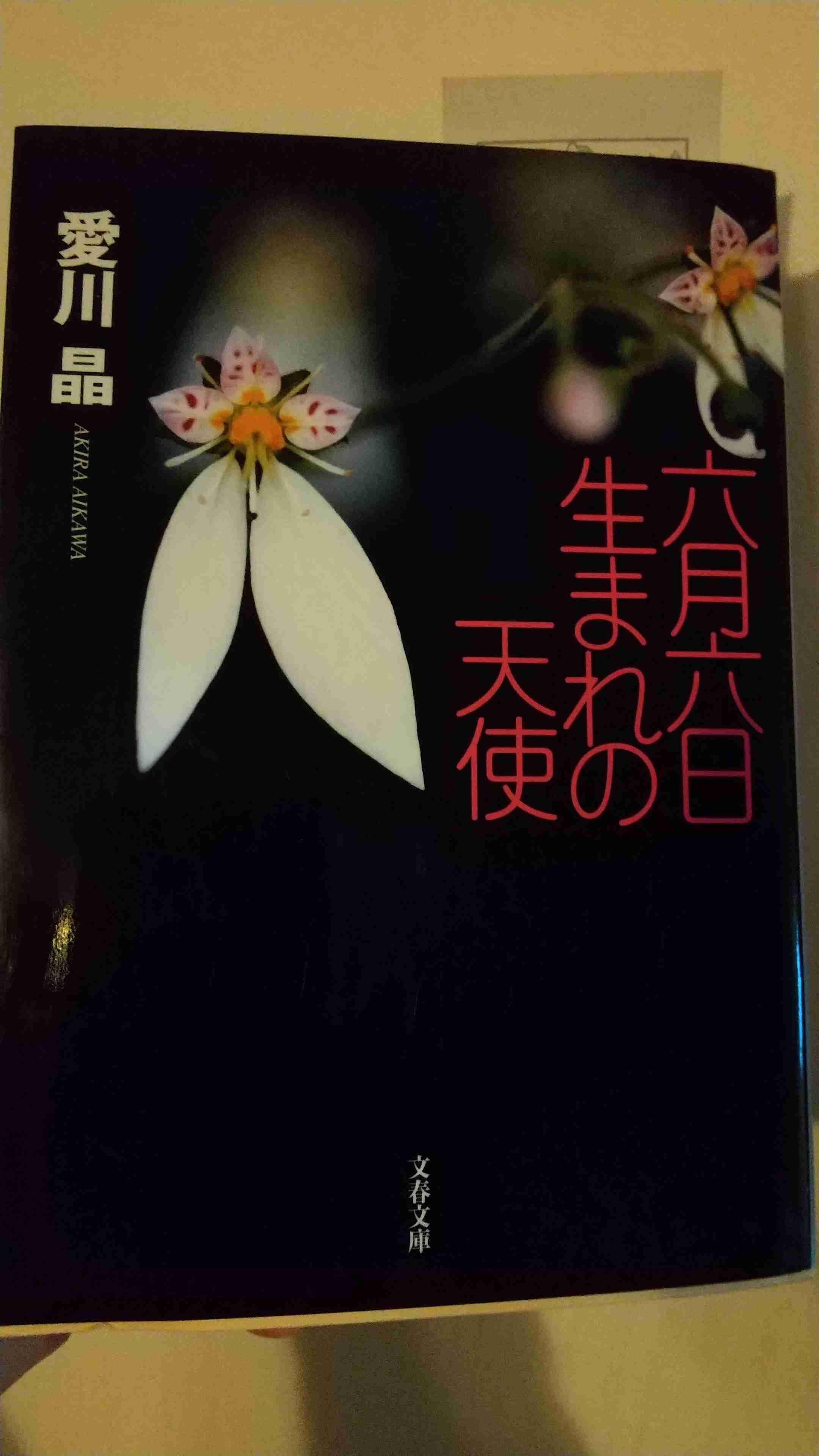 近くにある本のジャケ写を撮るトピ