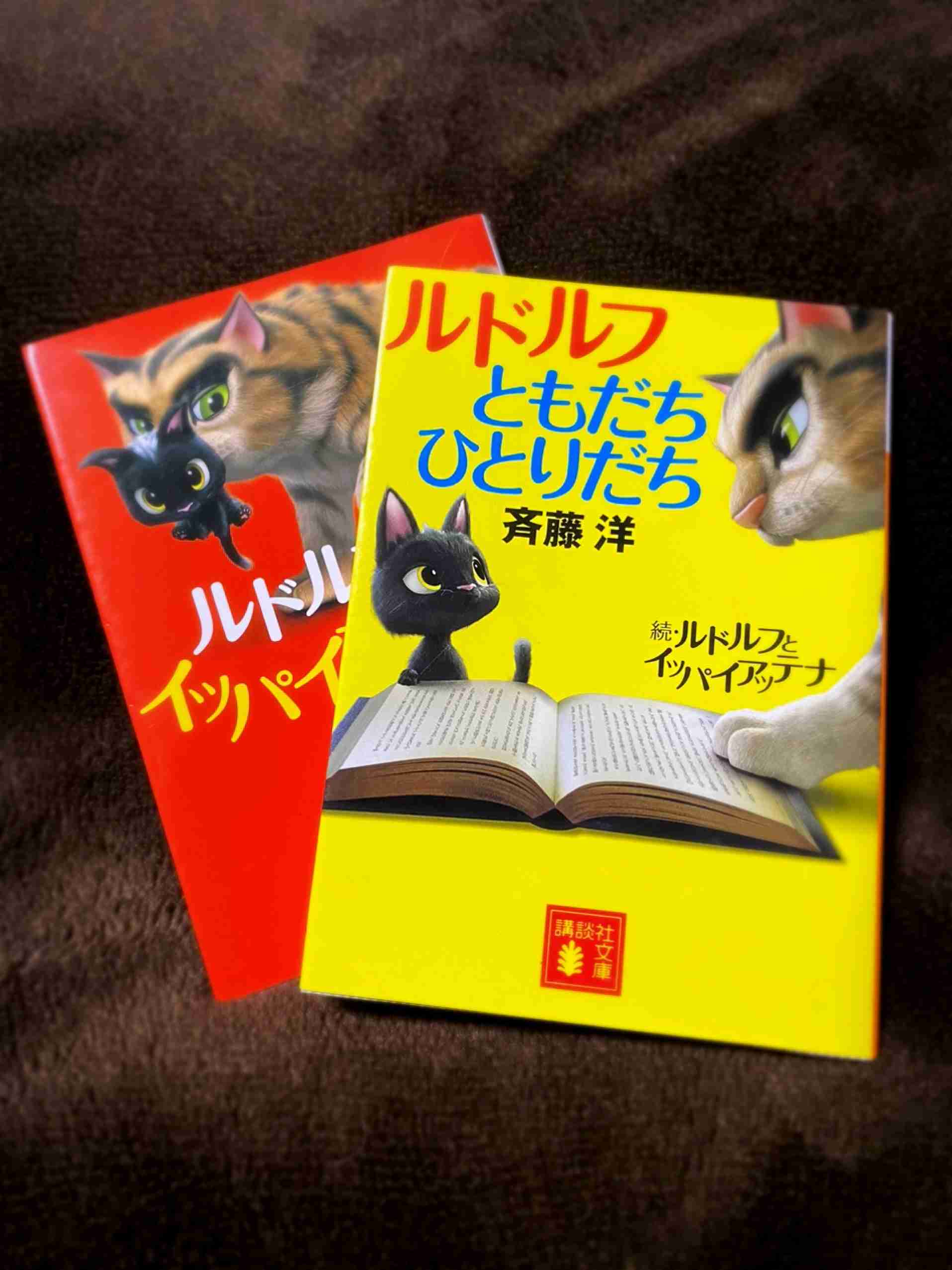近くにある本のジャケ写を撮るトピ
