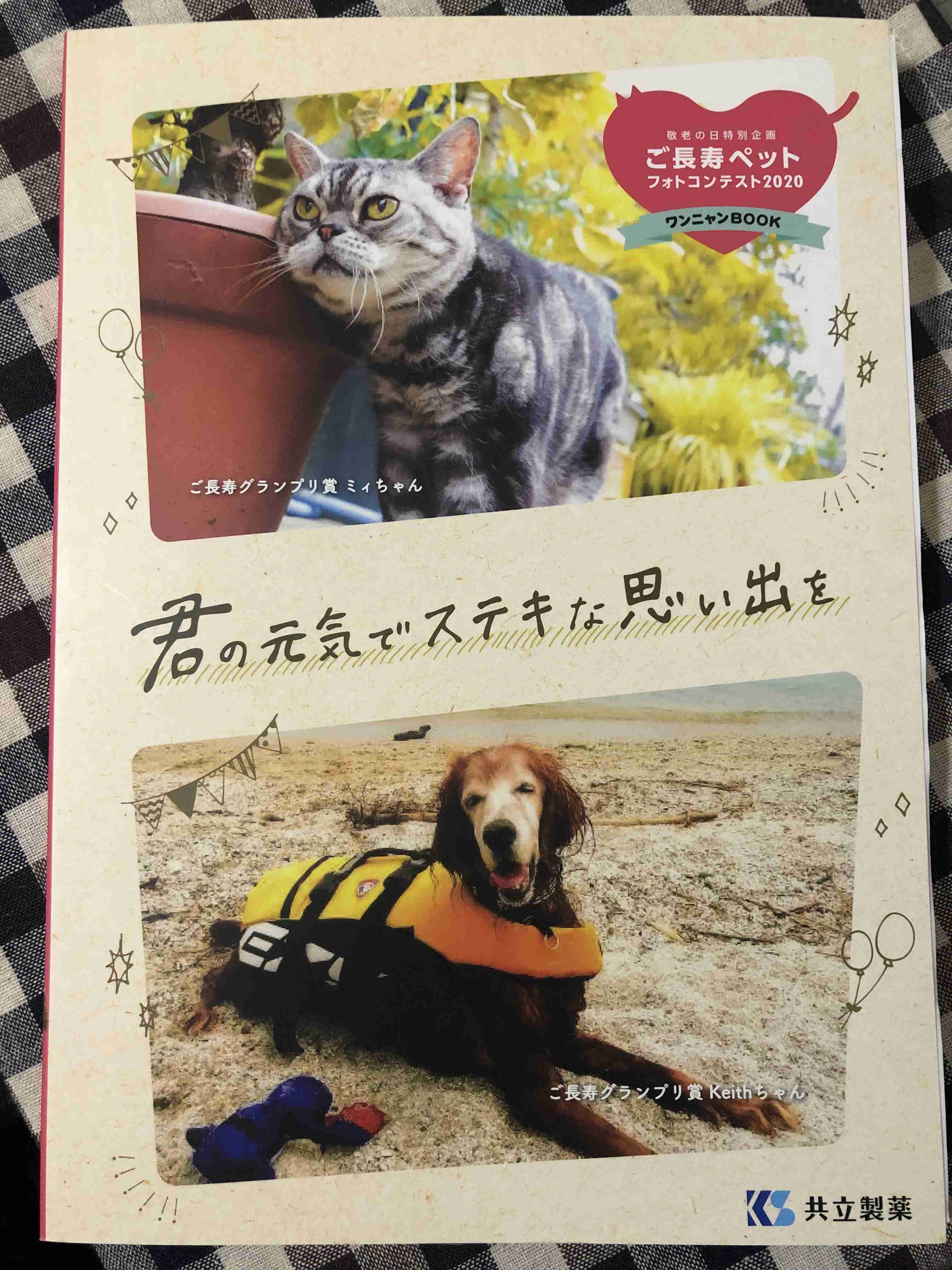 近くにある本のジャケ写を撮るトピ