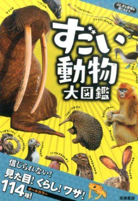 近くにある本のジャケ写を撮るトピ