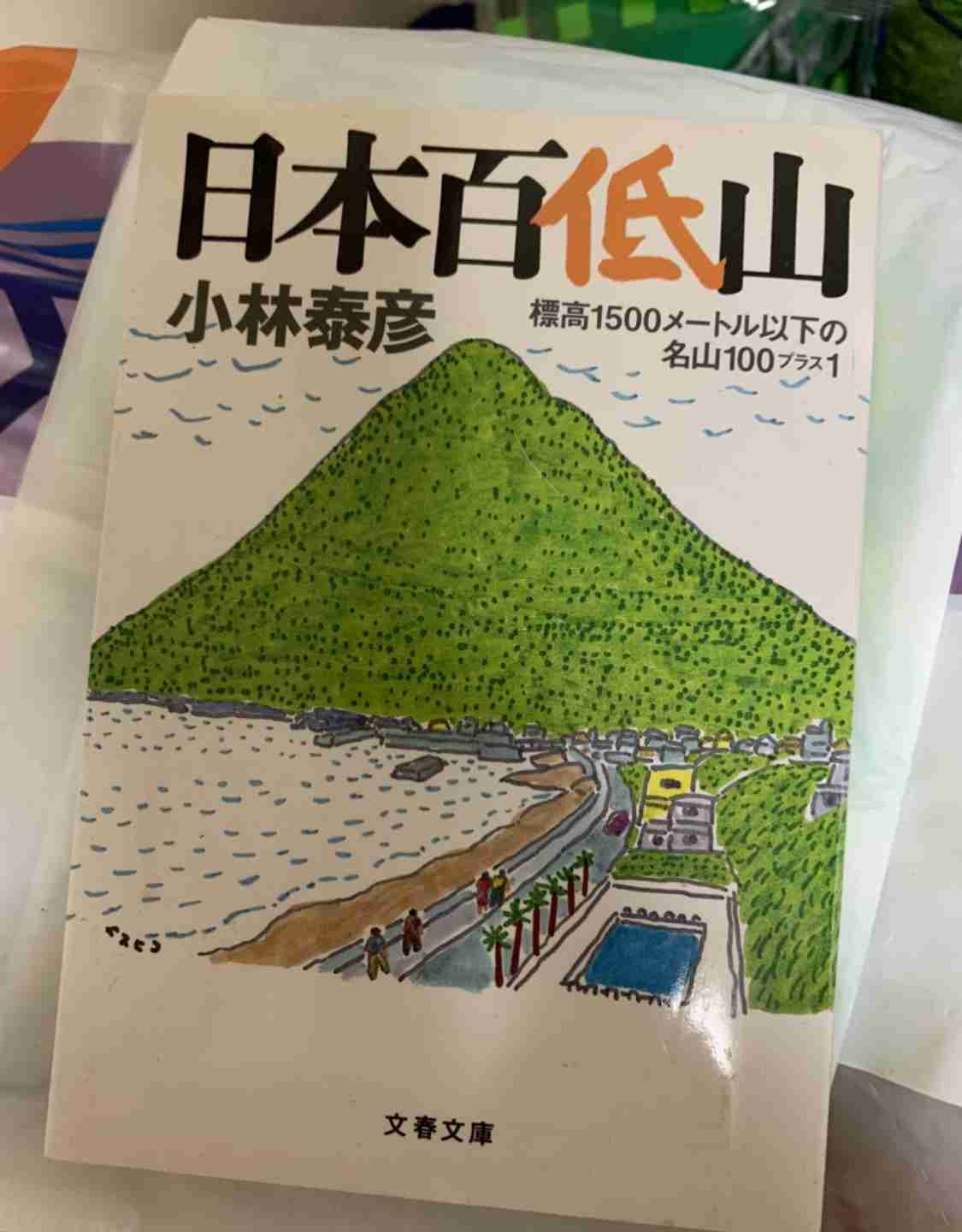 近くにある本のジャケ写を撮るトピ