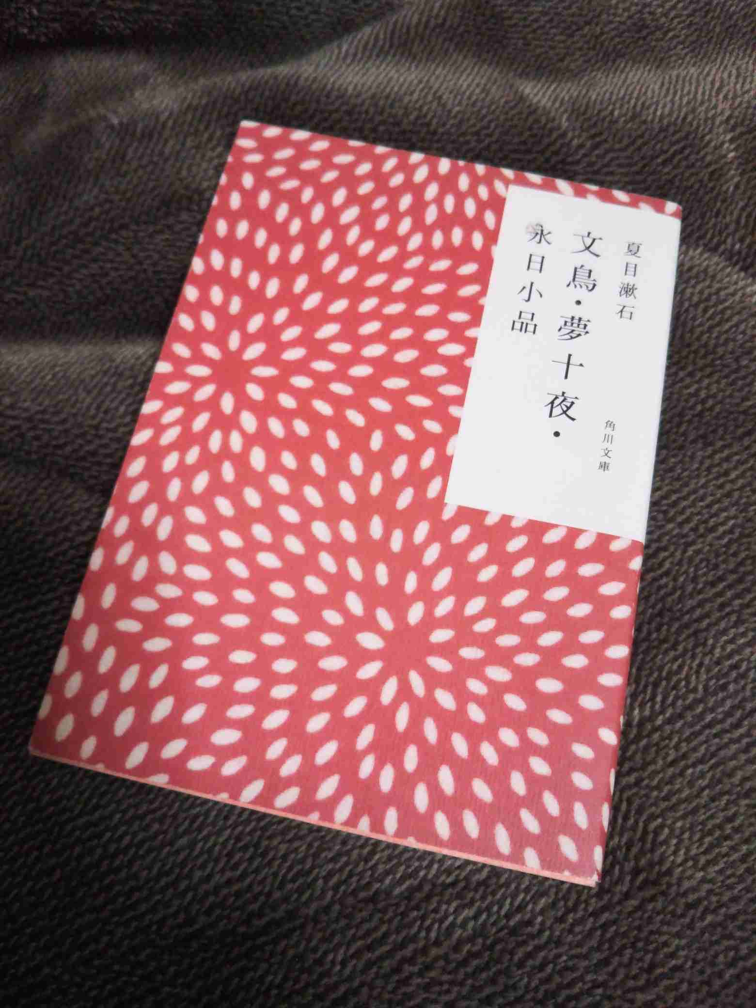 近くにある本のジャケ写を撮るトピ