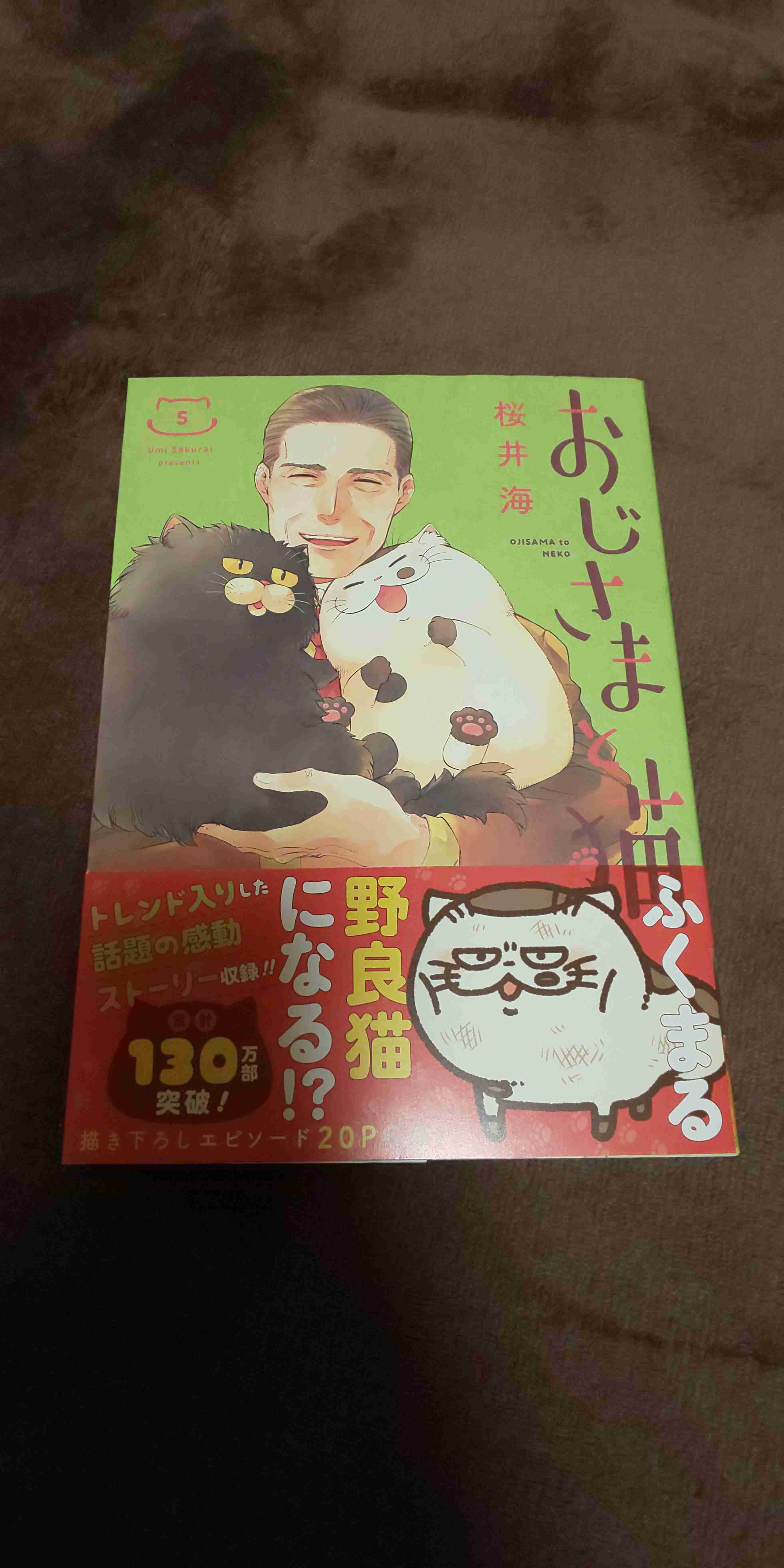 近くにある本のジャケ写を撮るトピ