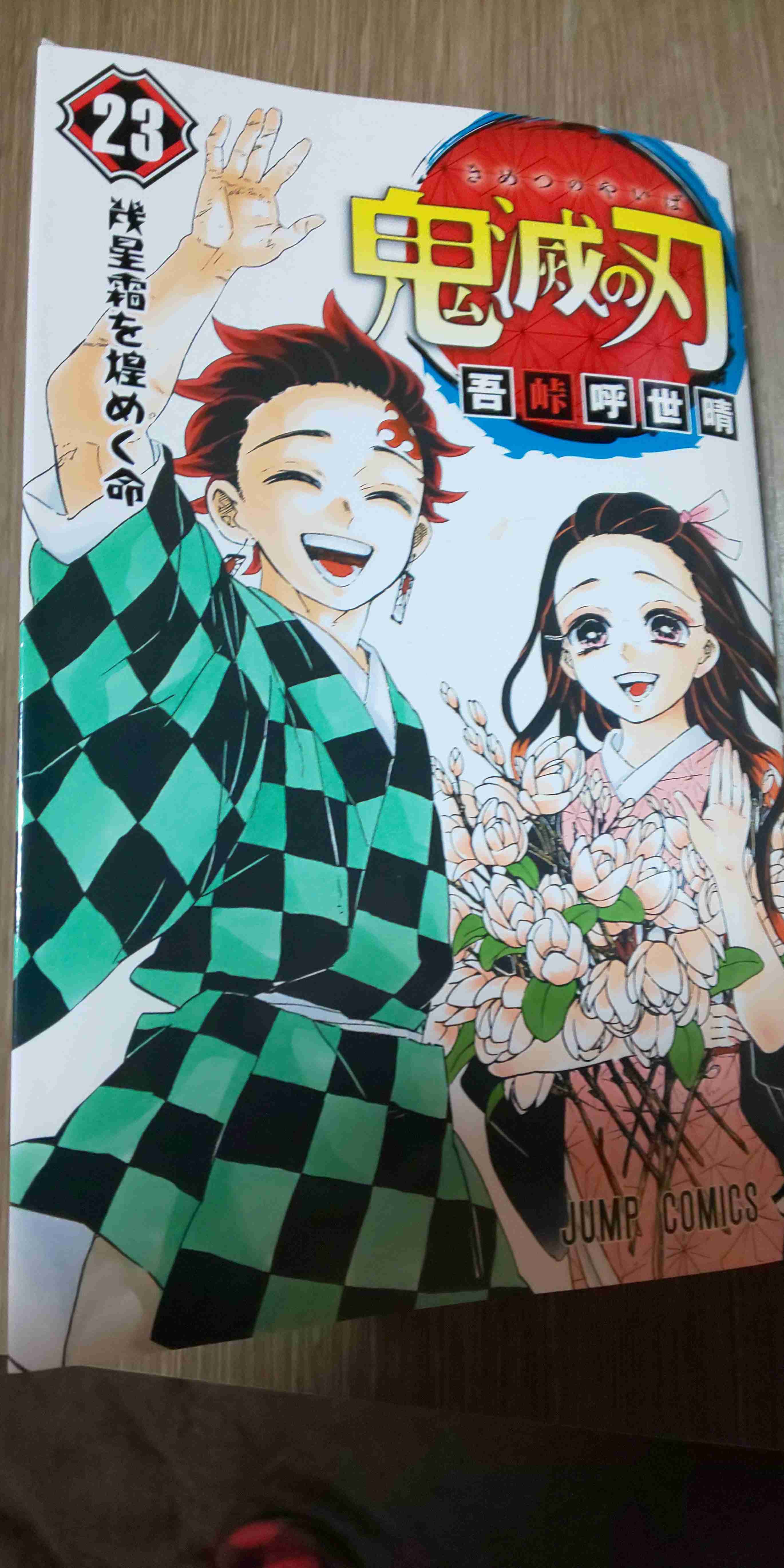 近くにある本のジャケ写を撮るトピ