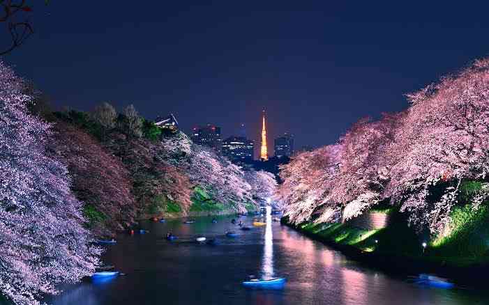 夜景の画像を観ながら夜を過ごすトピ