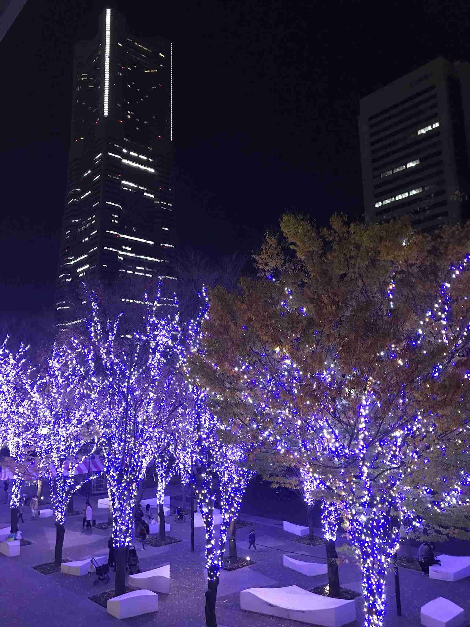 夜景の画像を観ながら夜を過ごすトピ
