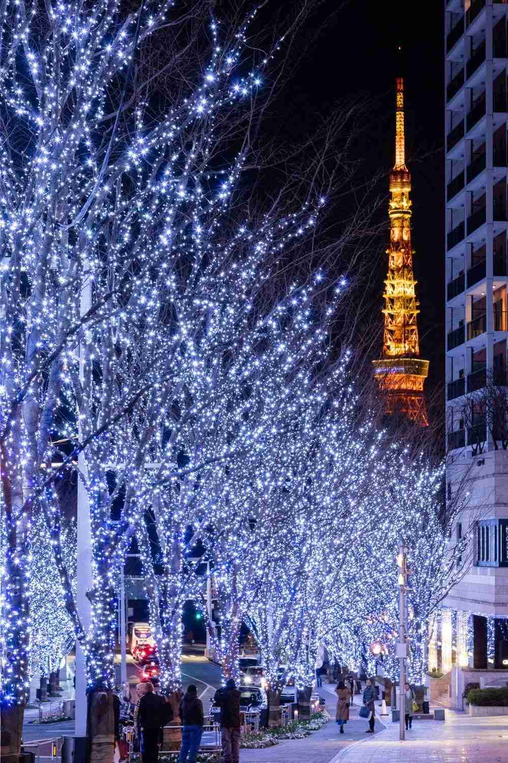 夜景の画像を観ながら夜を過ごすトピ