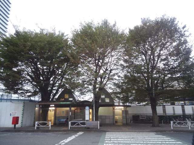 生涯独身の有名人