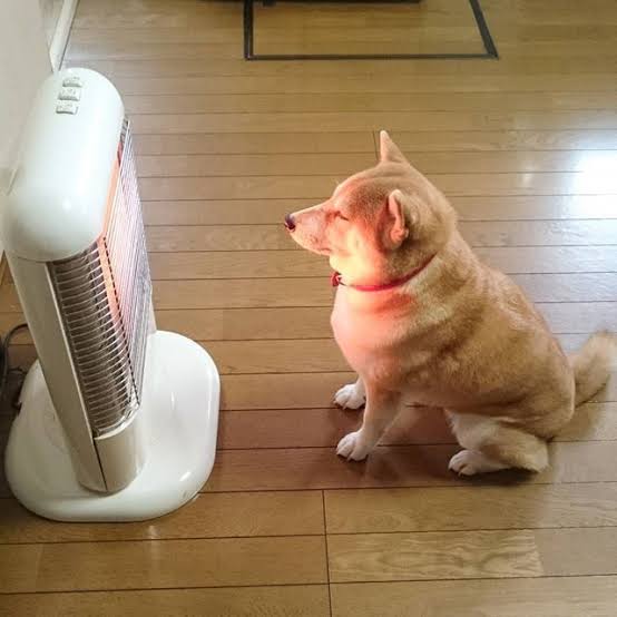 【2020】まだ暖房つけてない人