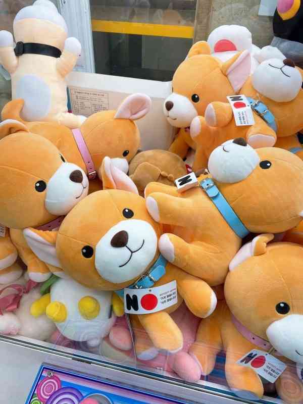 子供のクリスマスプレゼントの予算