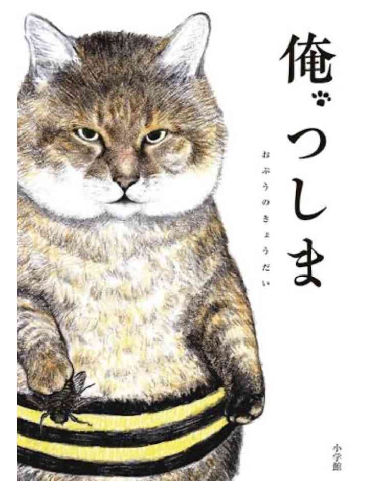 キジトラ好きの人〜！！