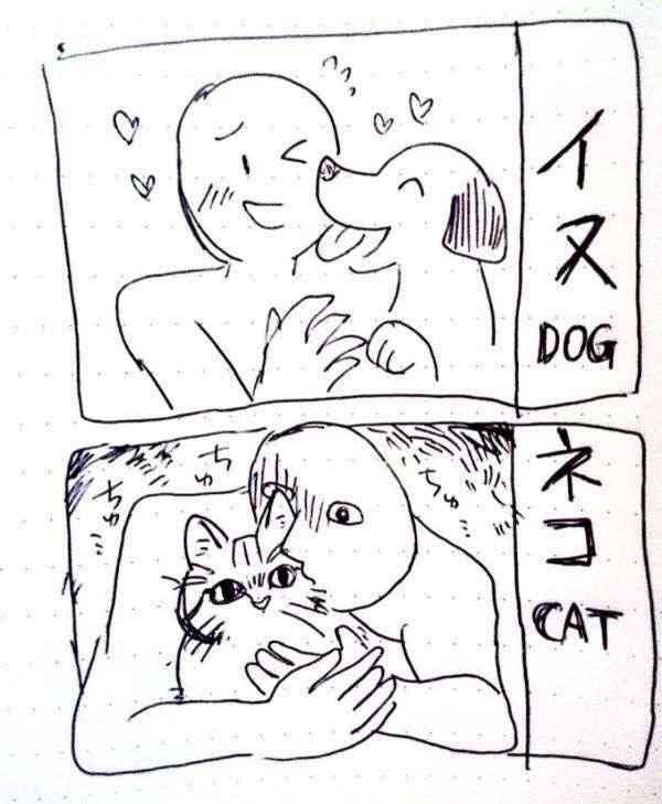 犬派?猫派?