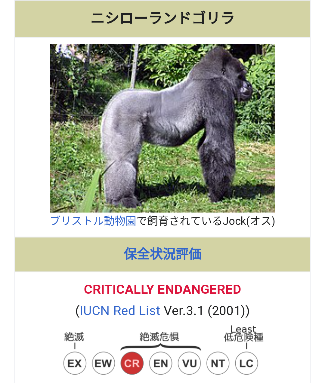 陣内智則　生番組で痛恨…ゆきぽよに「どう、みちょぱ？」、スタジオの集中砲火を浴びる