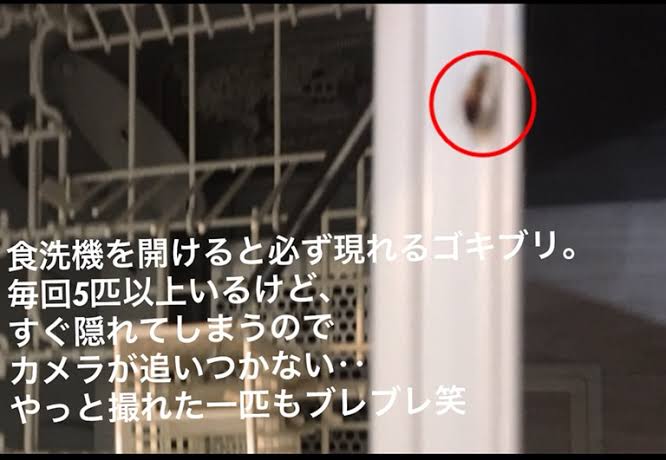 冬でもG