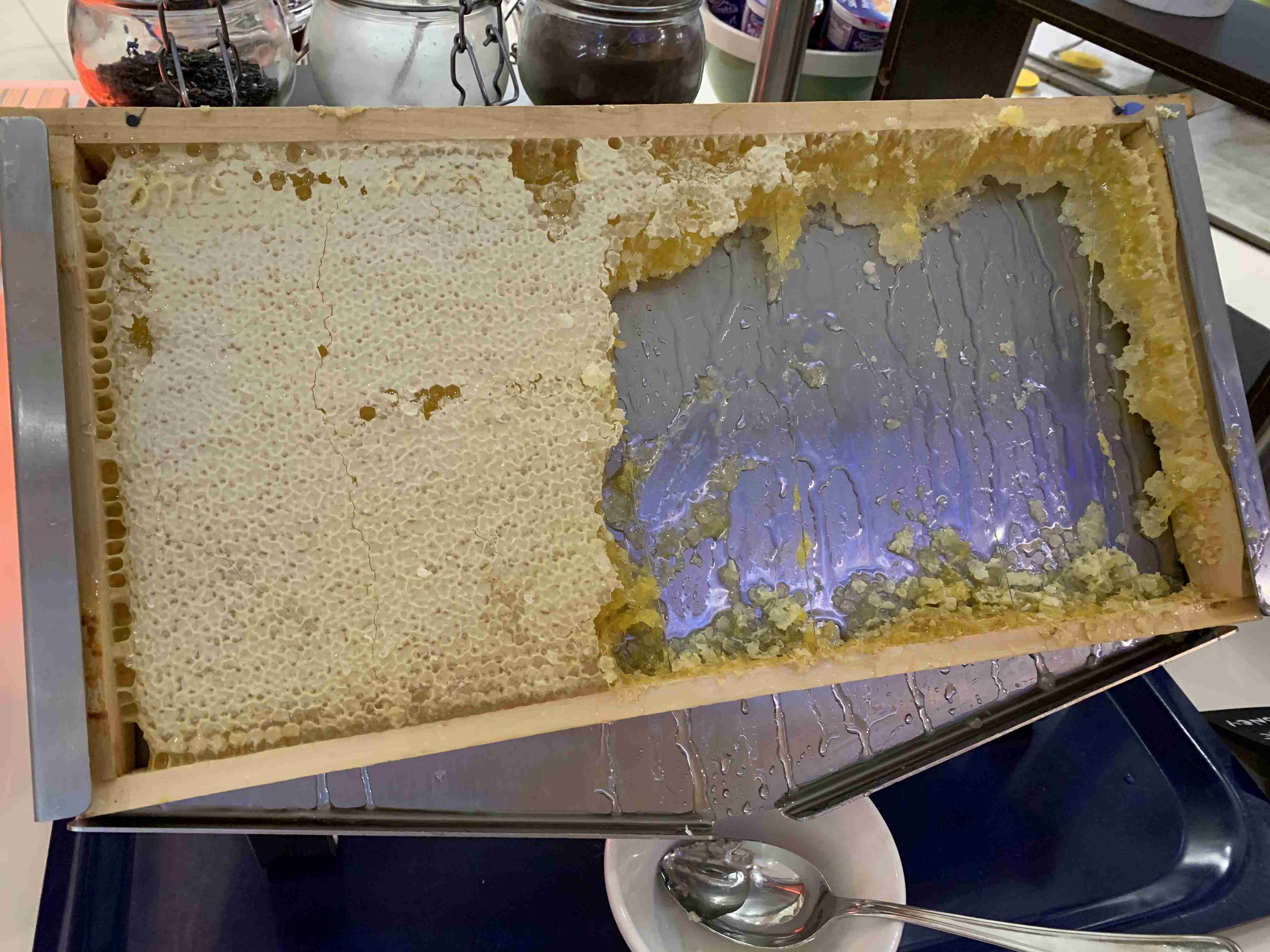 初めて食べた時、感動したもの！！