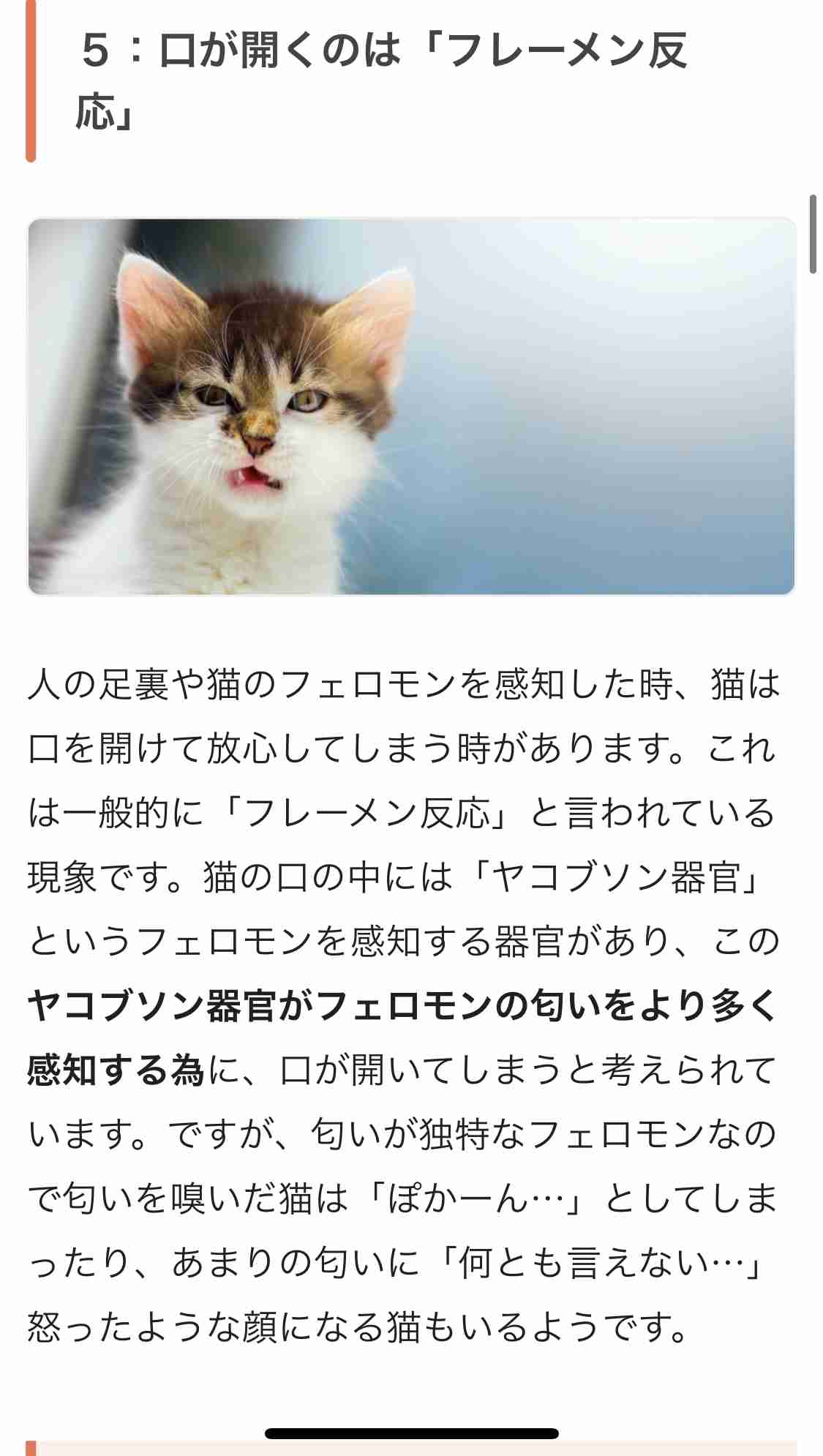 冬場の足の臭い対策