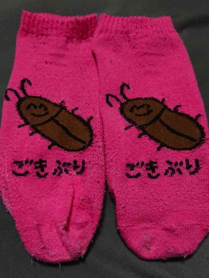 ダサい靴下選手権〜冬の陣