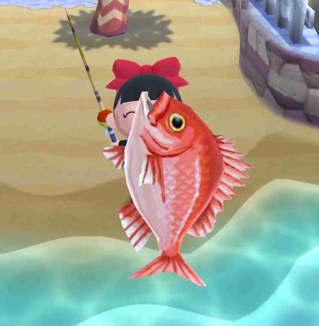 【ポケ森】どうぶつの森 ポケットキャンプ【part 38】