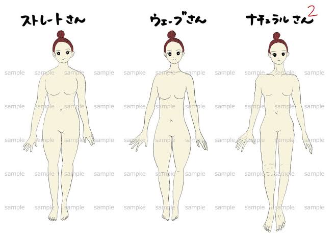 骨格ナチュラル体型が分かりやすい画像を下さい