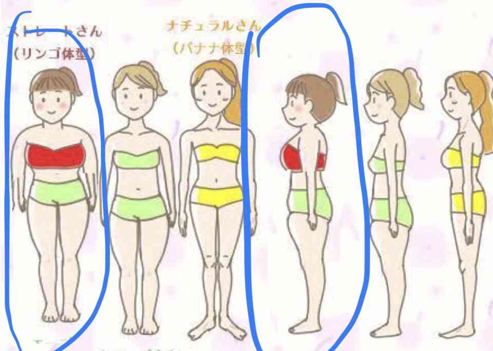 骨格ナチュラル体型が分かりやすい画像を下さい