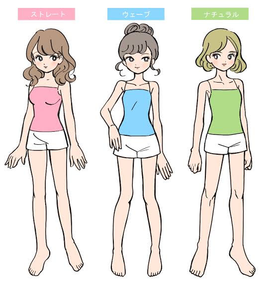 骨格ナチュラル体型が分かりやすい画像を下さい