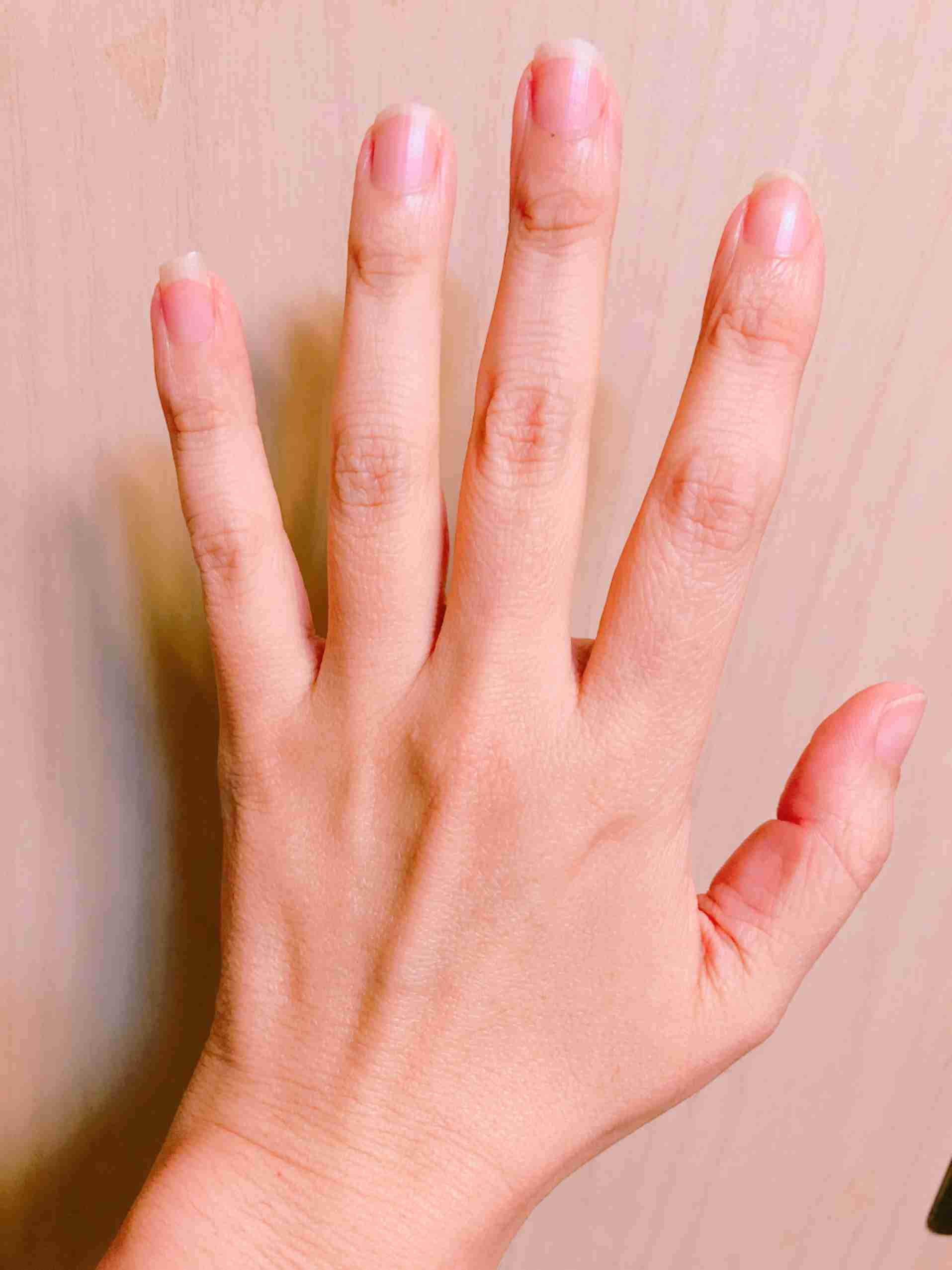 骨格ナチュラル体型が分かりやすい画像を下さい
