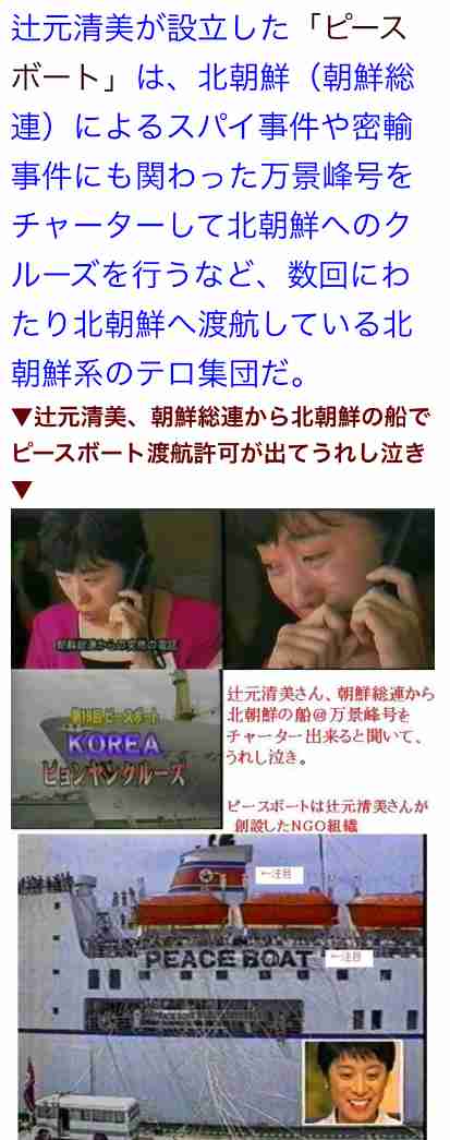 河井案里被告、逮捕後の歳費2000万円超 失職・当選無効でも返還請求できず 専門家、法改正訴え