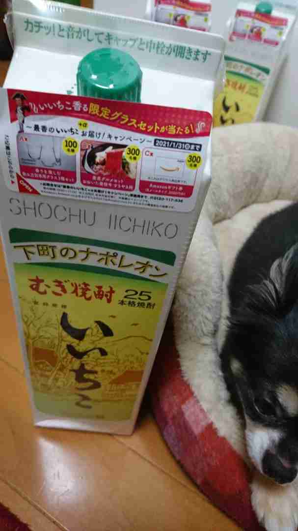 食後に何か食べますか？