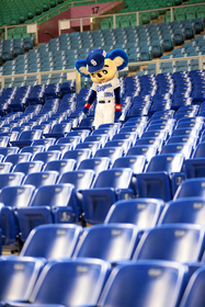 2021年　プロ野球を色々と予想しましょう