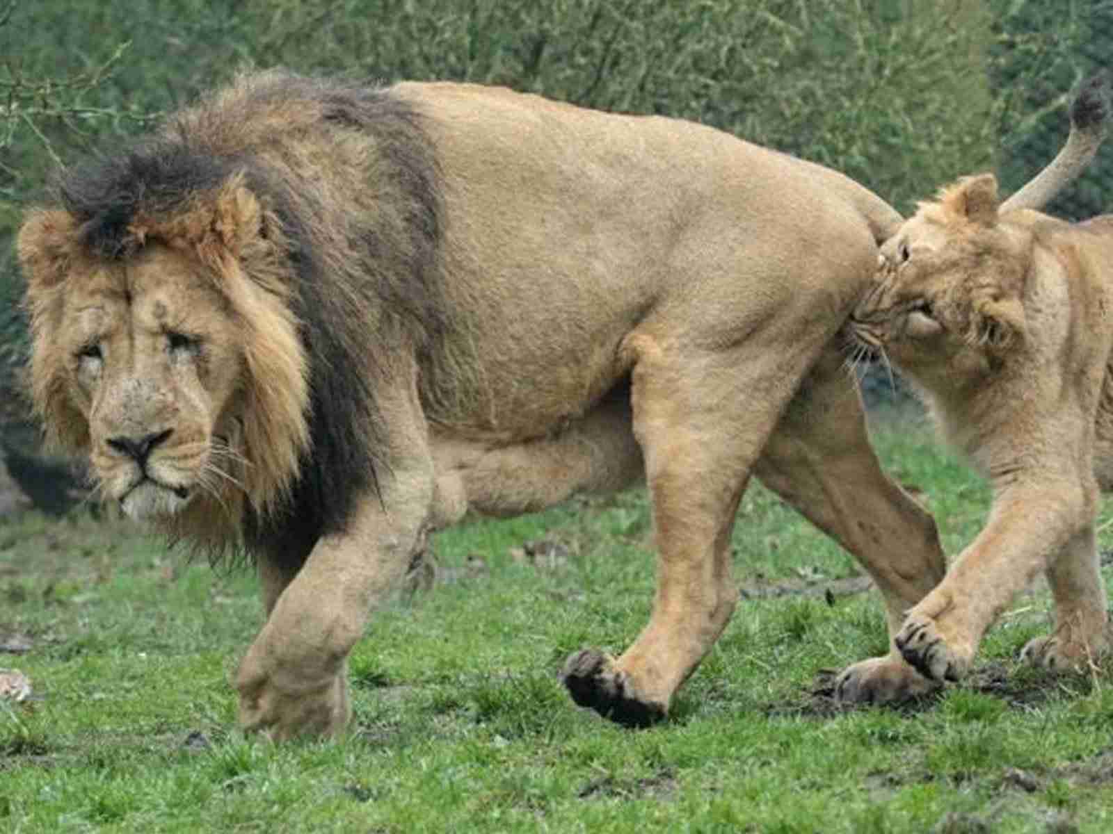 【ネタ可】夫の下ネタ、セクハラをやめさせたい