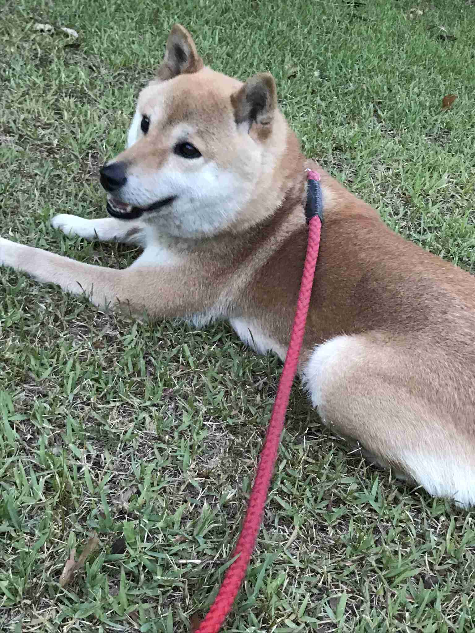 自分も動物と一緒だなって思った瞬間