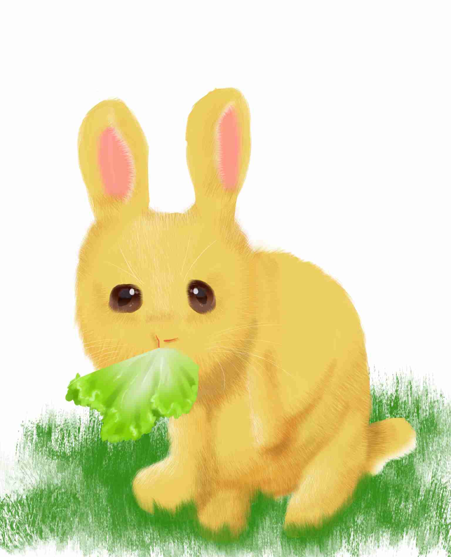絵の下手な人が描いたものに上手い人が色付けして作品にするトピ