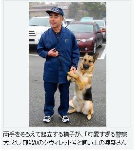 枕カバーのにおい、たどって行方不明者を発見…警察犬と指導手に感謝状