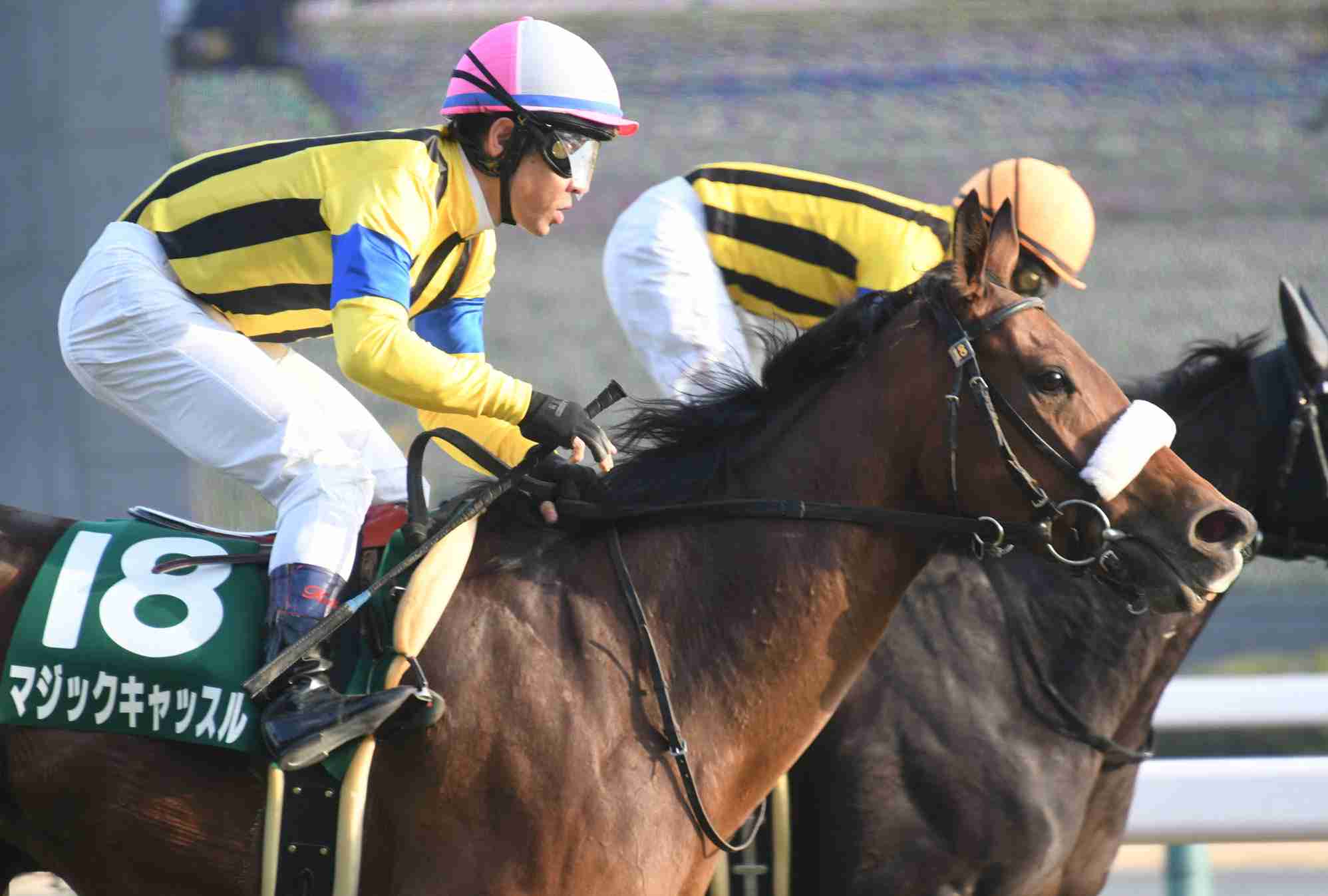 有馬記念2020