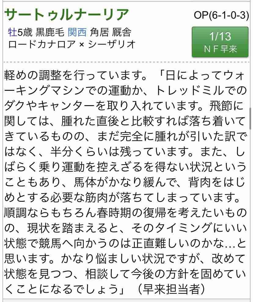 有馬記念2020