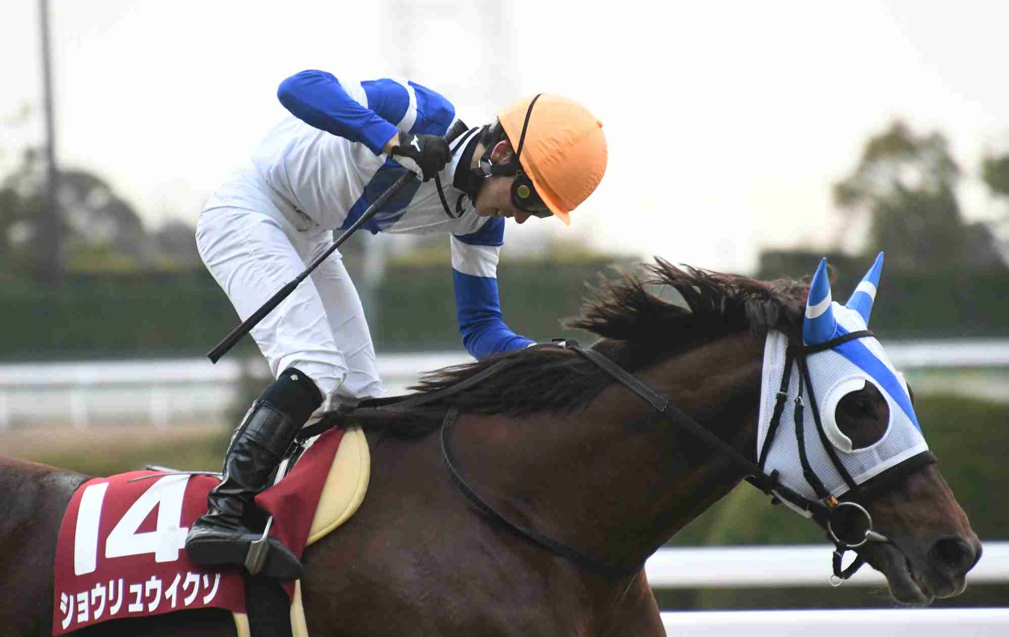 有馬記念2020
