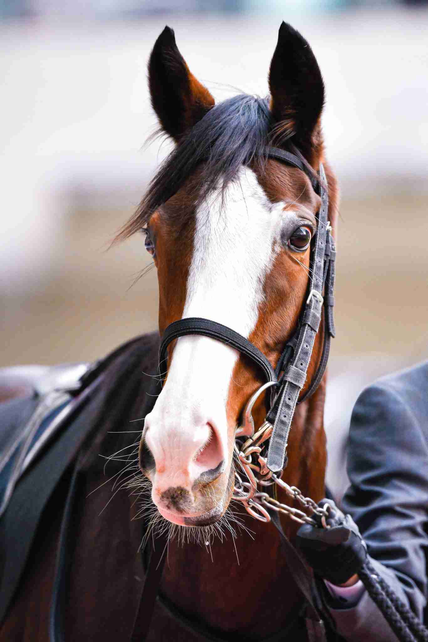 有馬記念2020