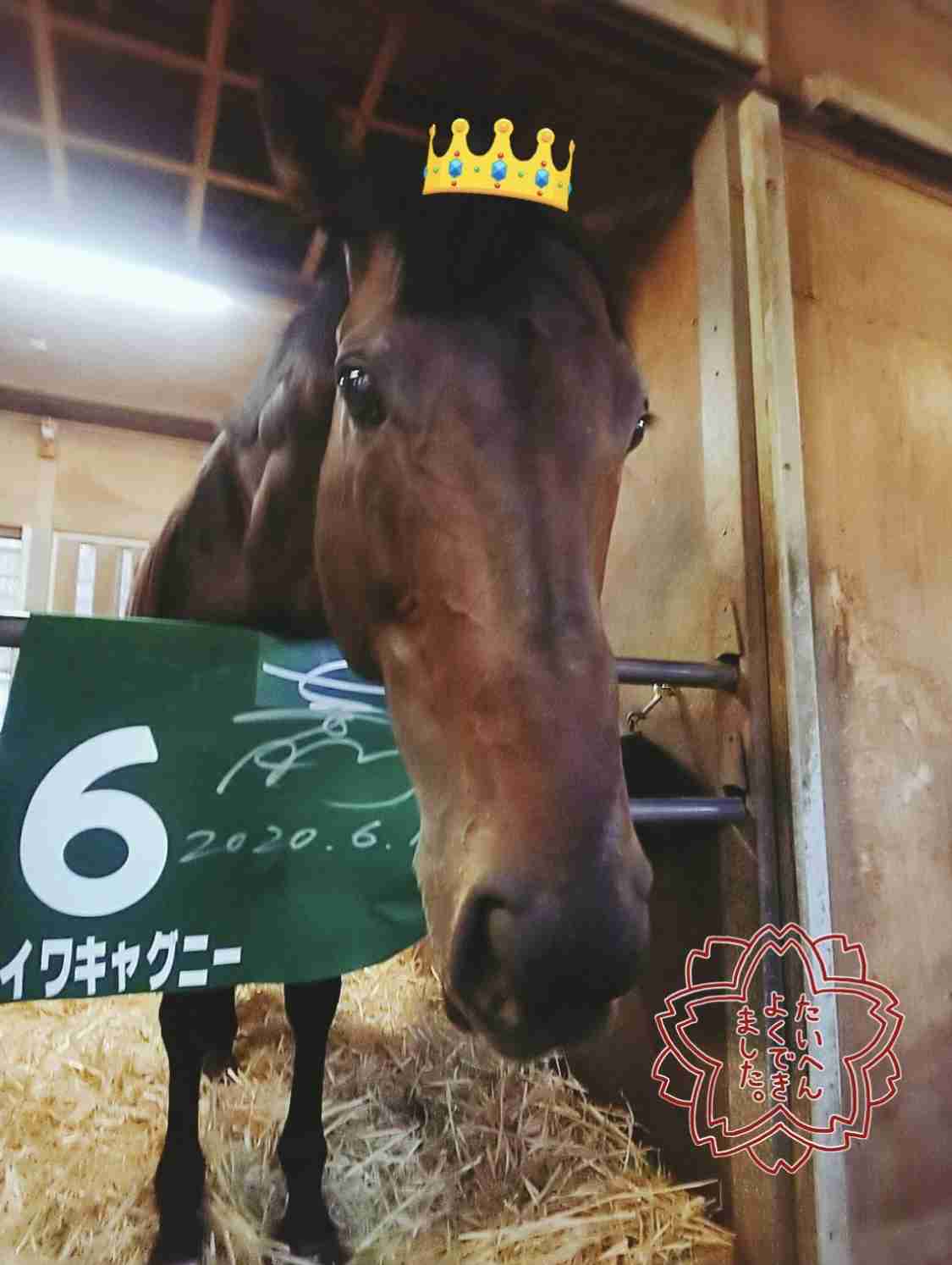 有馬記念2020