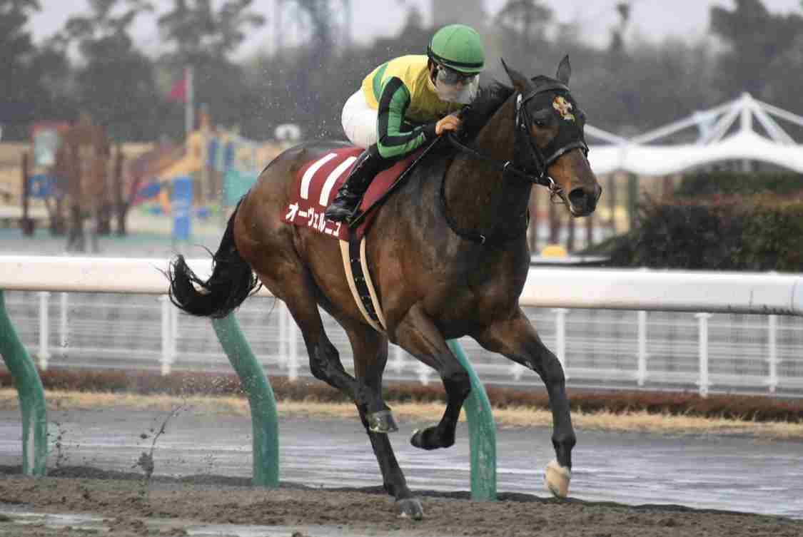 有馬記念2020