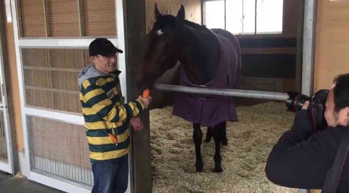 有馬記念2020