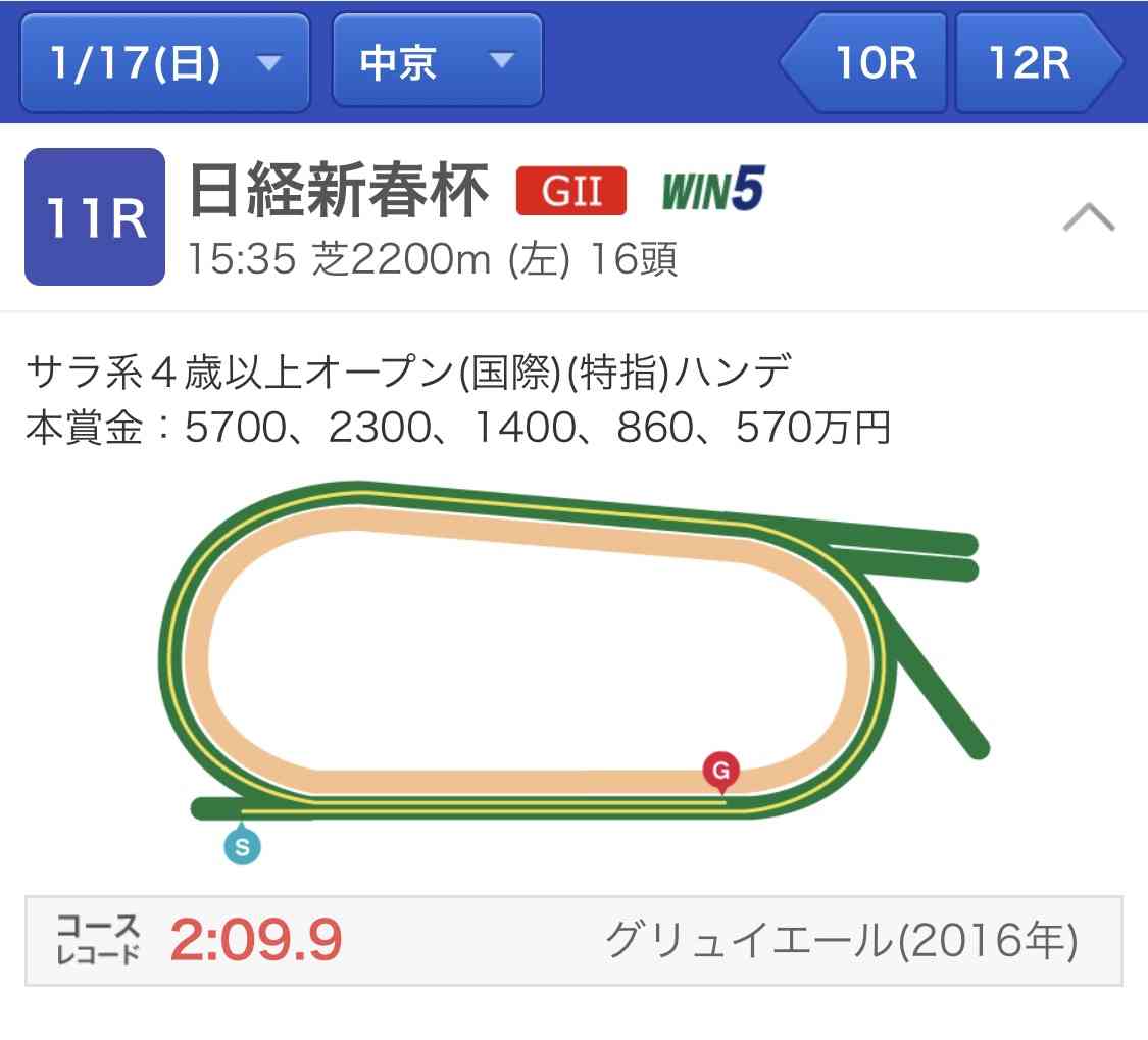 有馬記念2020