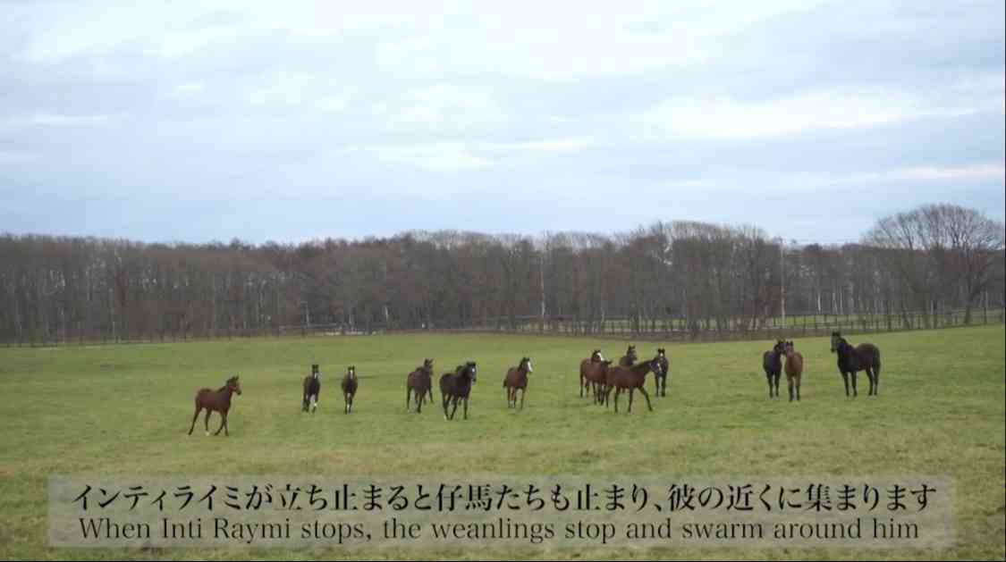 有馬記念2020