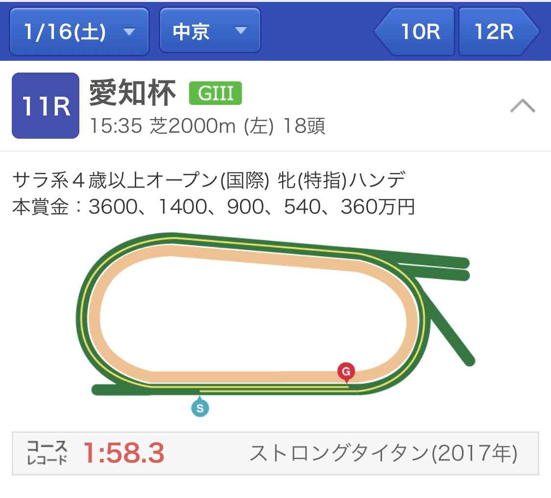 有馬記念2020