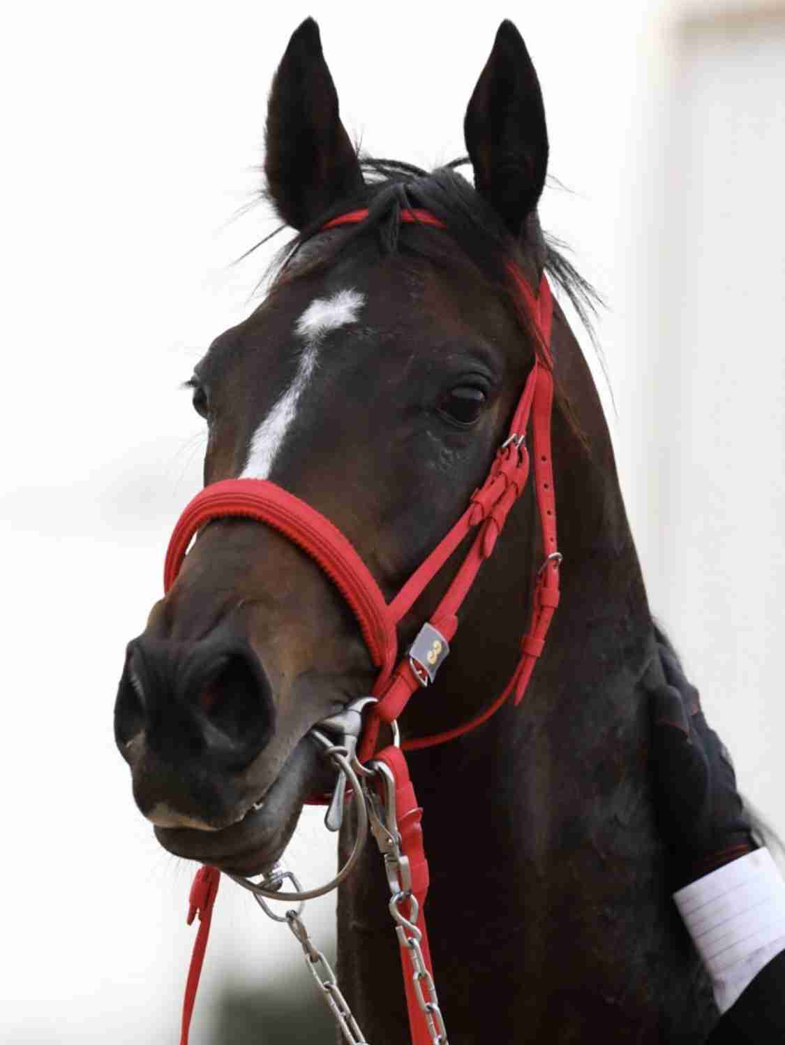 有馬記念2020